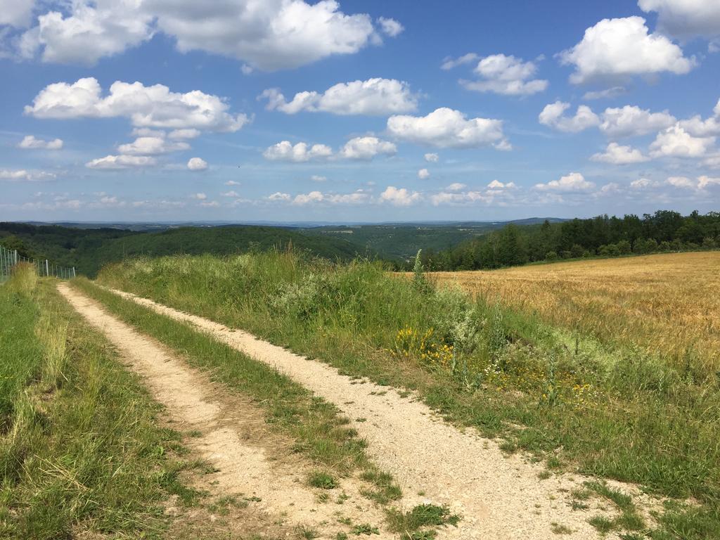 Gites Oasis Du Lot Payrac Zewnętrze zdjęcie